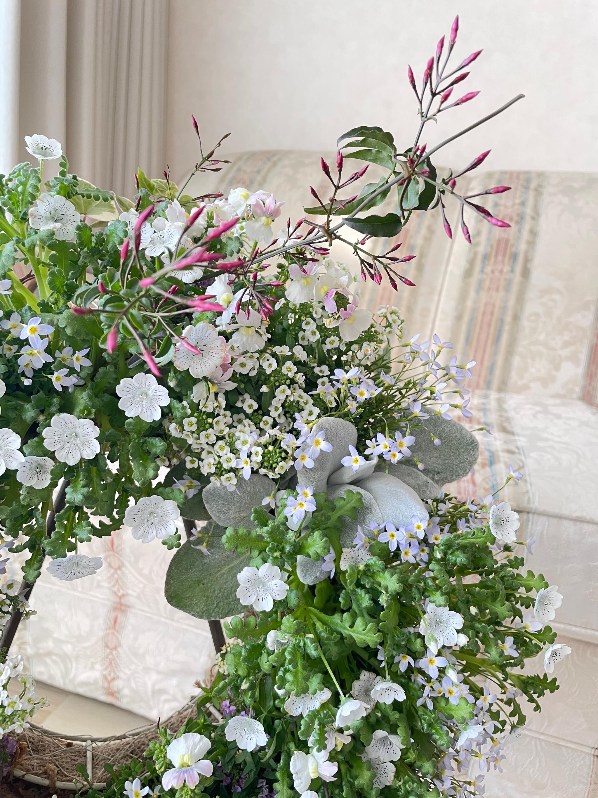 春が訪れた野原のような寄せ植えリース *:.｡ 幸せのwreath  「 spring  field 」  ..:* | 2枚目