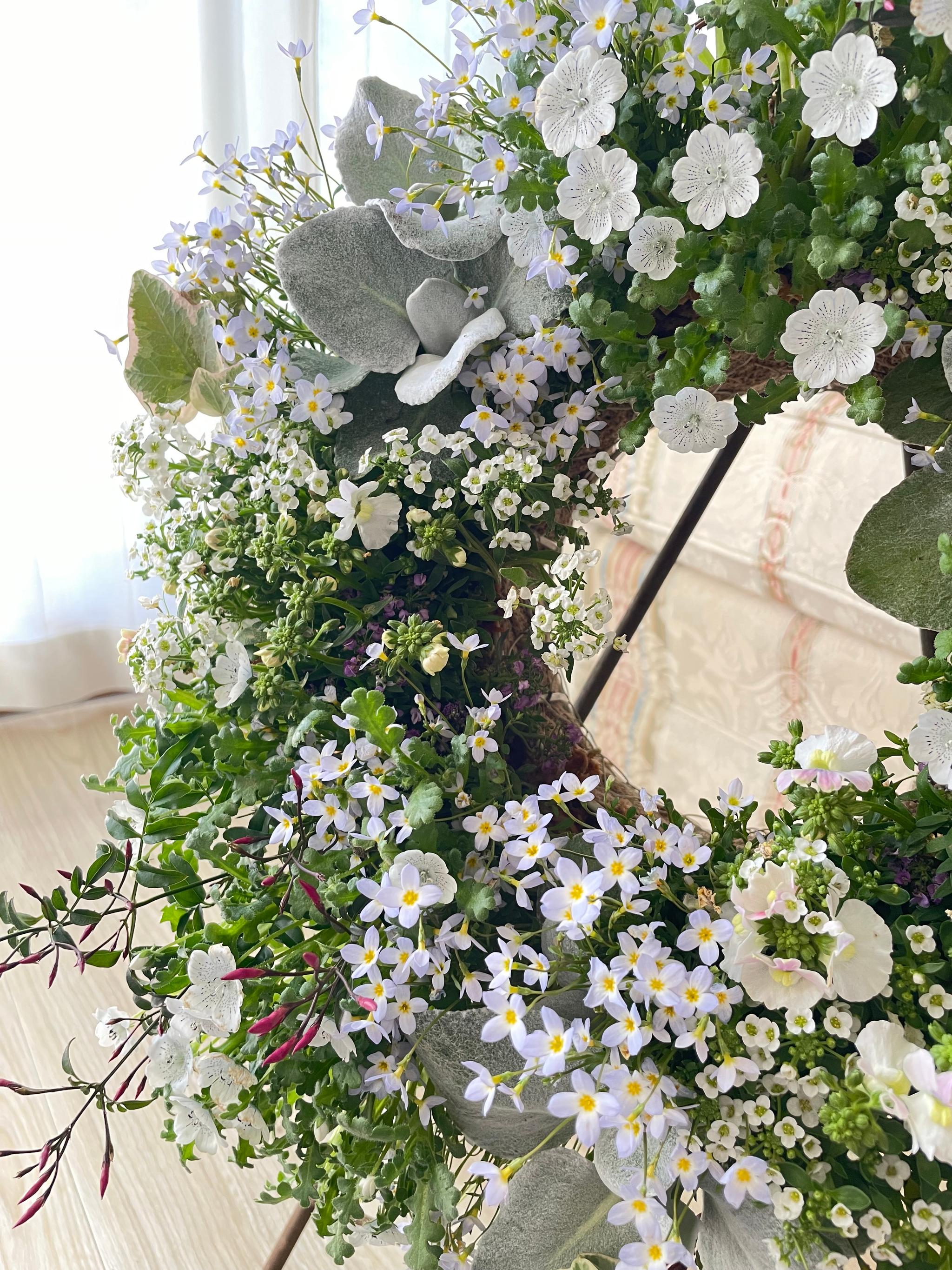 春が訪れた野原のような寄せ植えリース *:.｡ 幸せのwreath  「 spring  field 」  ..:* | 3枚目