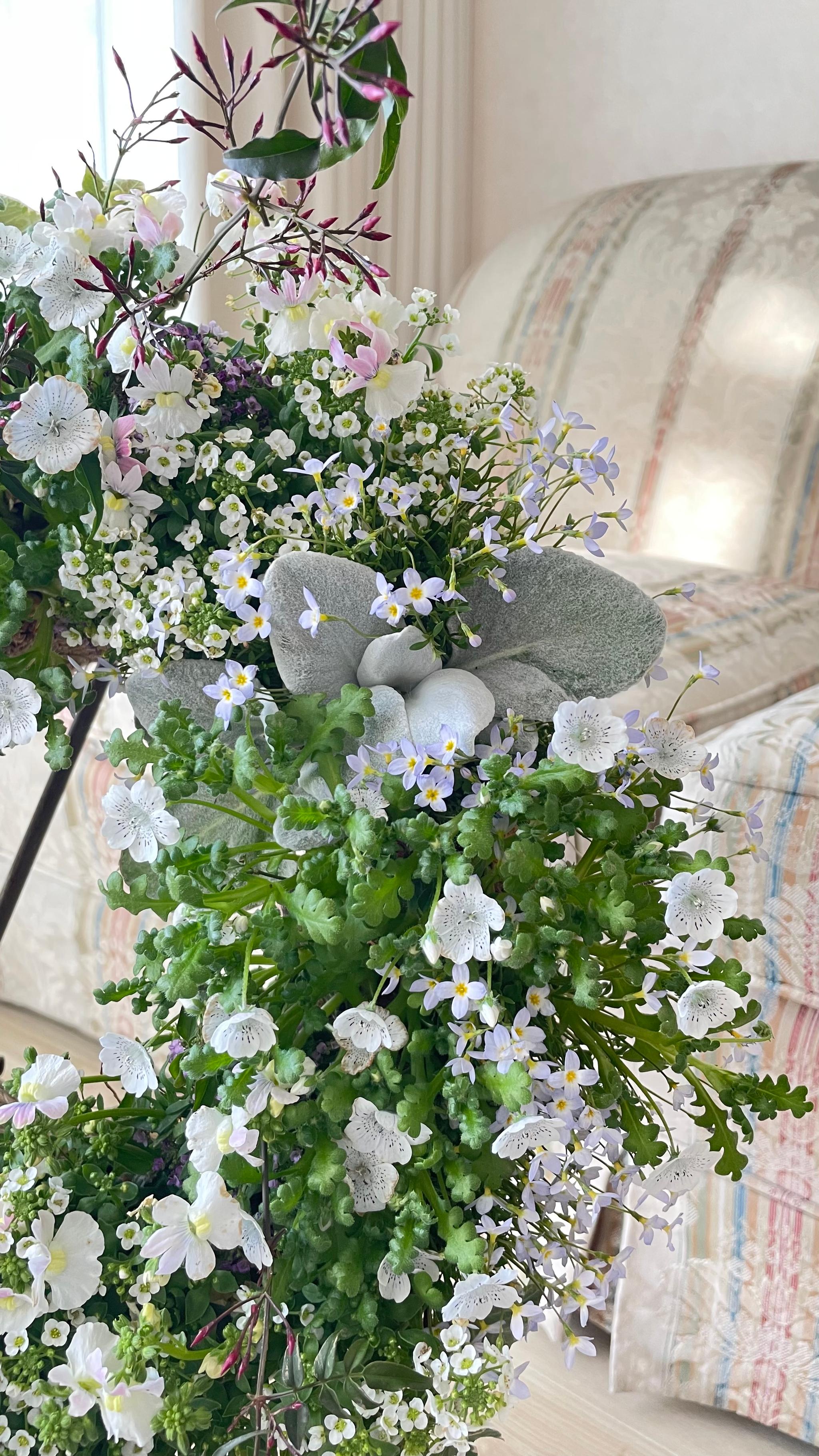 春が訪れた野原のような寄せ植えリース *:.｡ 幸せのwreath  「 spring  field 」  ..:* | 6枚目
