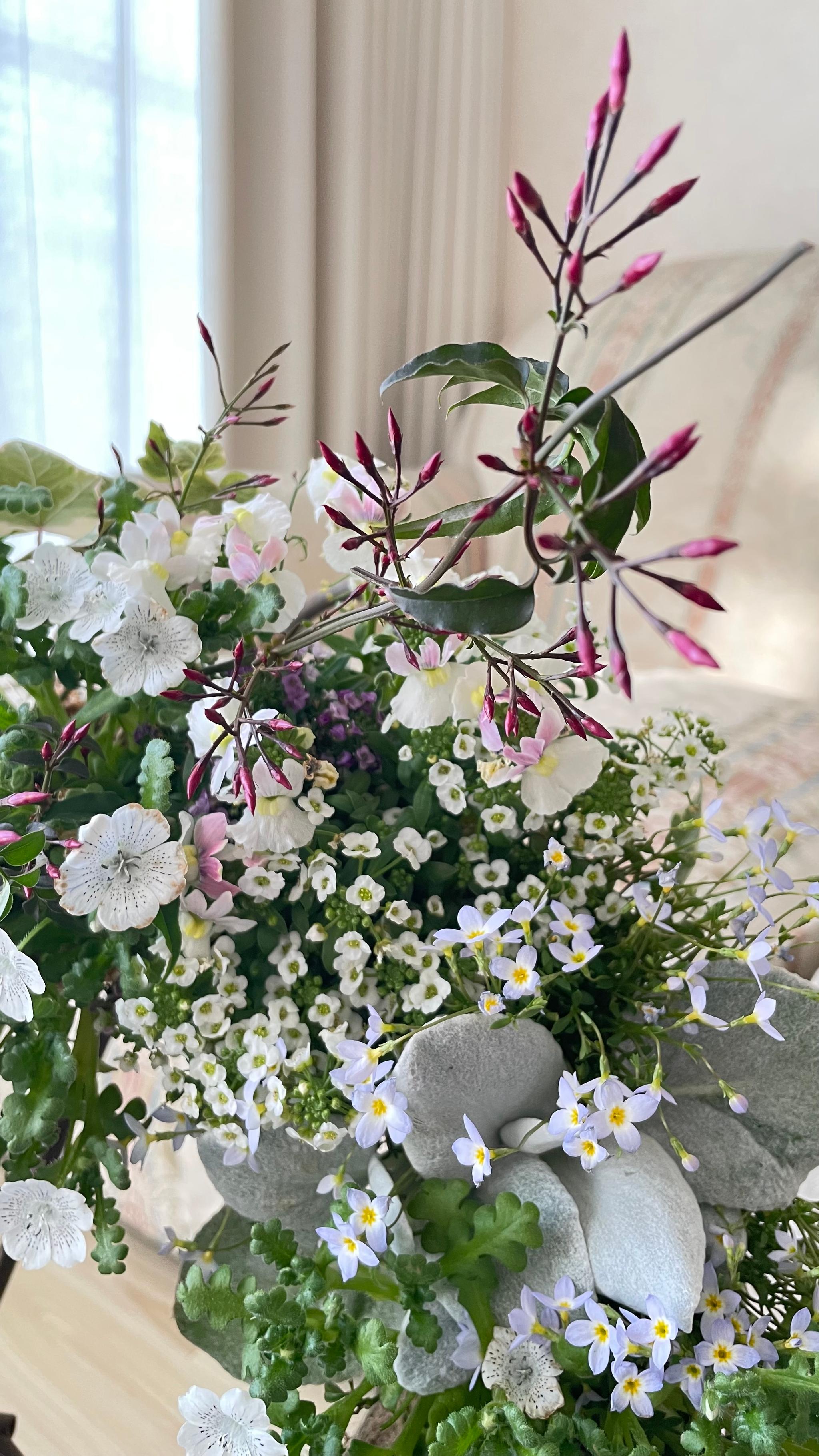 春が訪れた野原のような寄せ植えリース *:.｡ 幸せのwreath  「 spring  field 」  ..:* | 7枚目