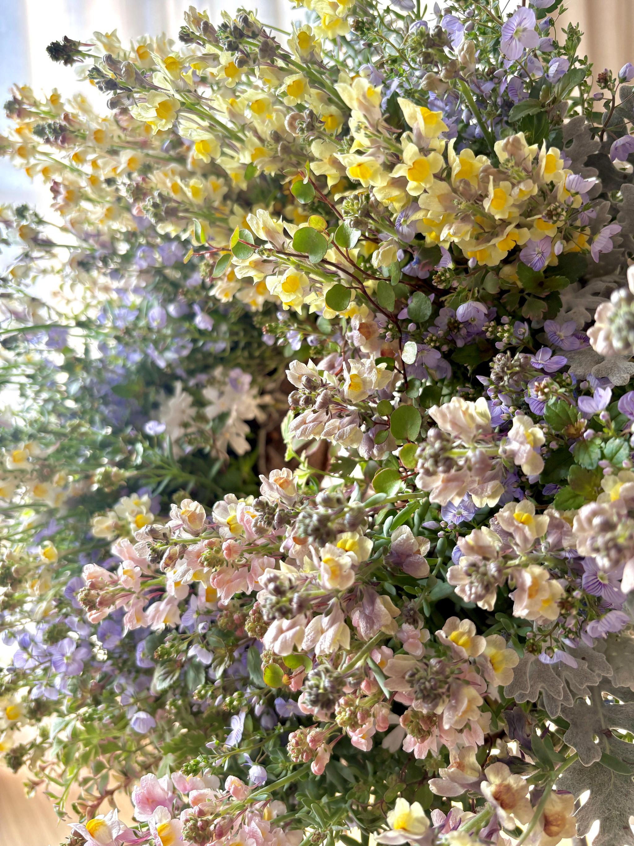 魅惑の花色 リナリアの寄せ植えリース ☆*:.幸せのwreath  「 マダムマルシアの秘密の花園 」 ｡:*☆   　 | 10枚目