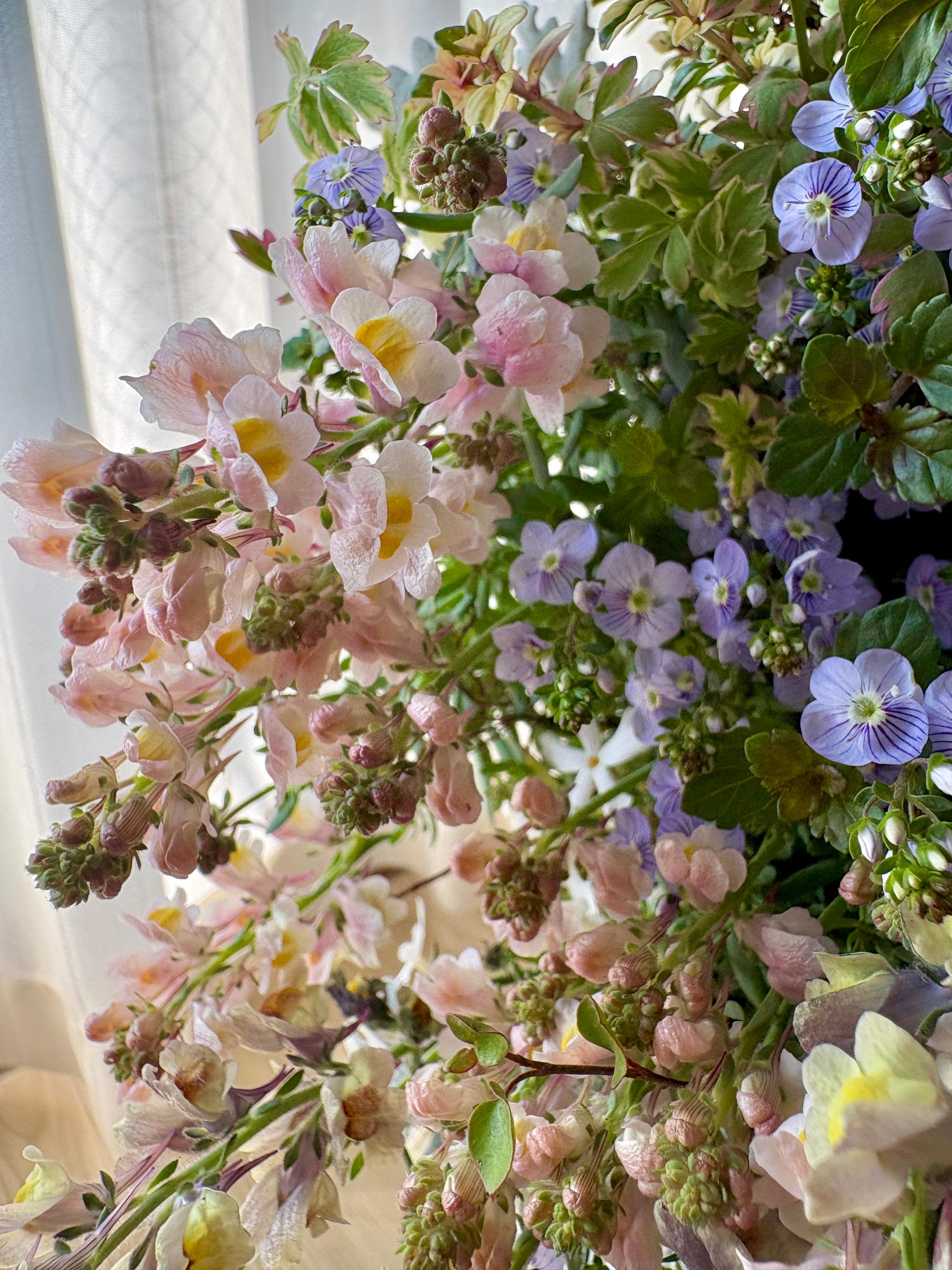 魅惑の花色 リナリアの寄せ植えリース ☆*:.幸せのwreath  「 マダムマルシアの秘密の花園 」 ｡:*☆   　 | 4枚目