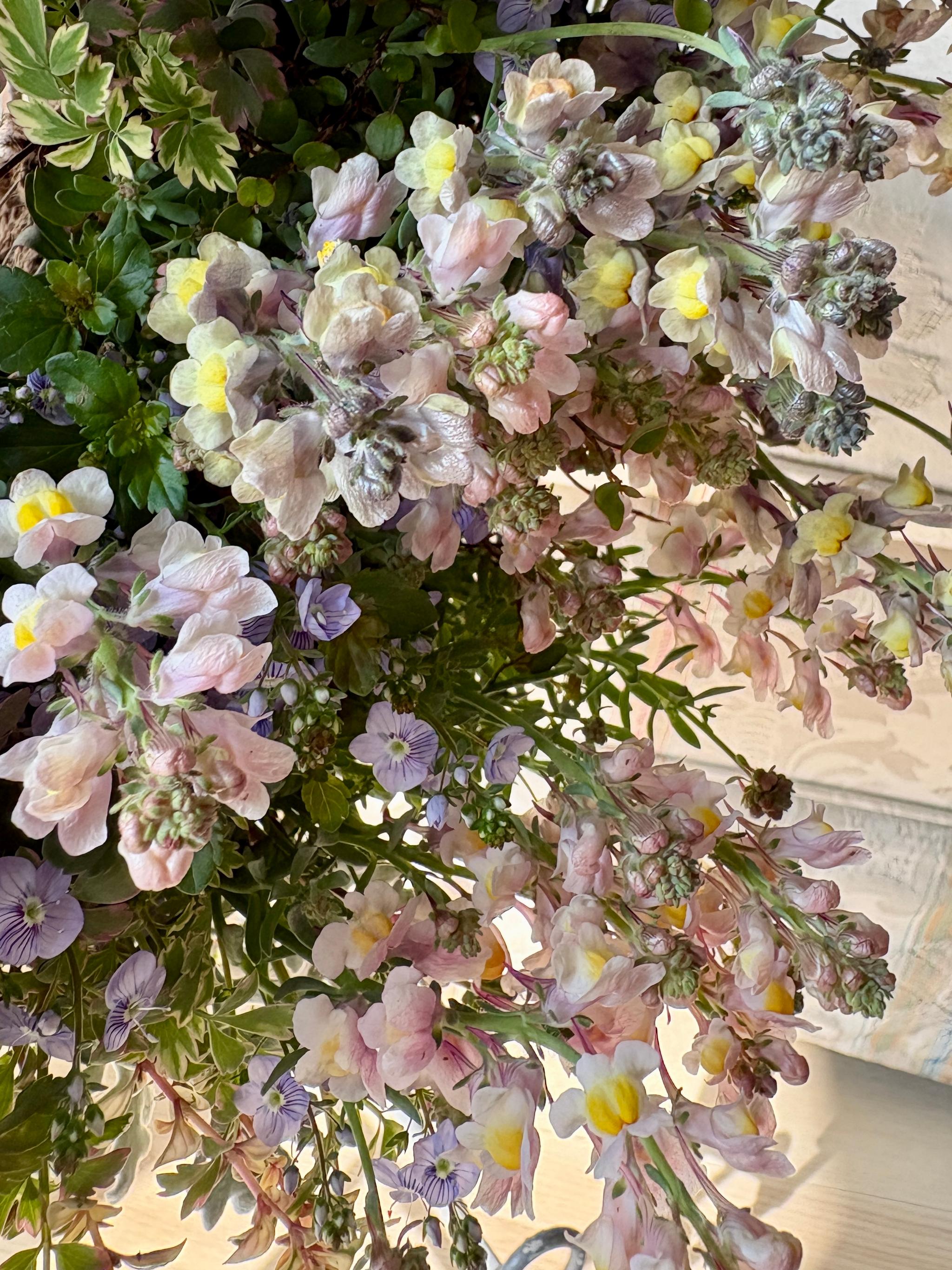 魅惑の花色 リナリアの寄せ植えリース ☆*:.幸せのwreath  「 マダムマルシアの秘密の花園 」 ｡:*☆   　 | 7枚目