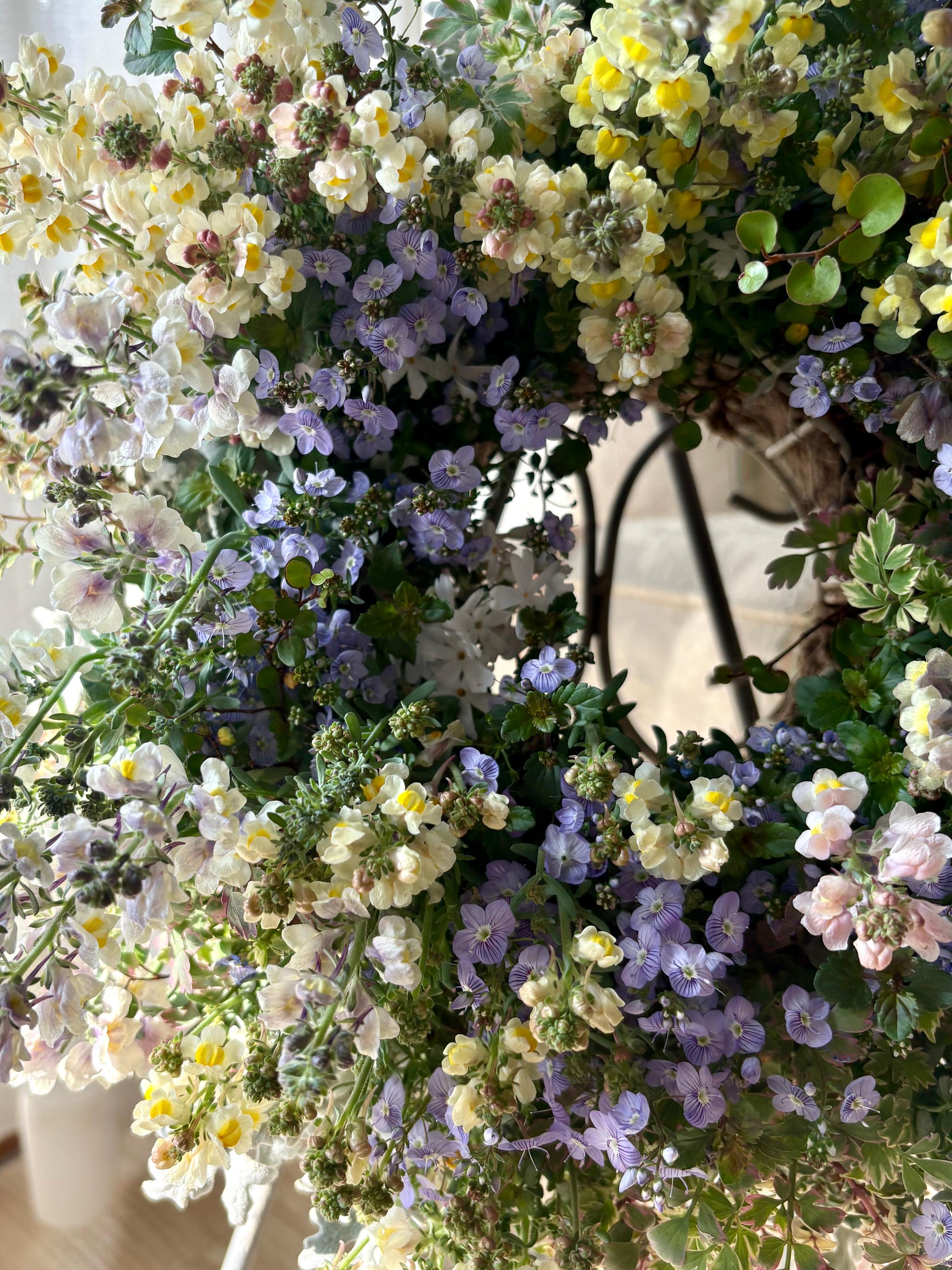 魅惑の花色 リナリアの寄せ植えリース ☆*:.幸せのwreath  「 マダムマルシアの秘密の花園 」 ｡:*☆   　 | 8枚目