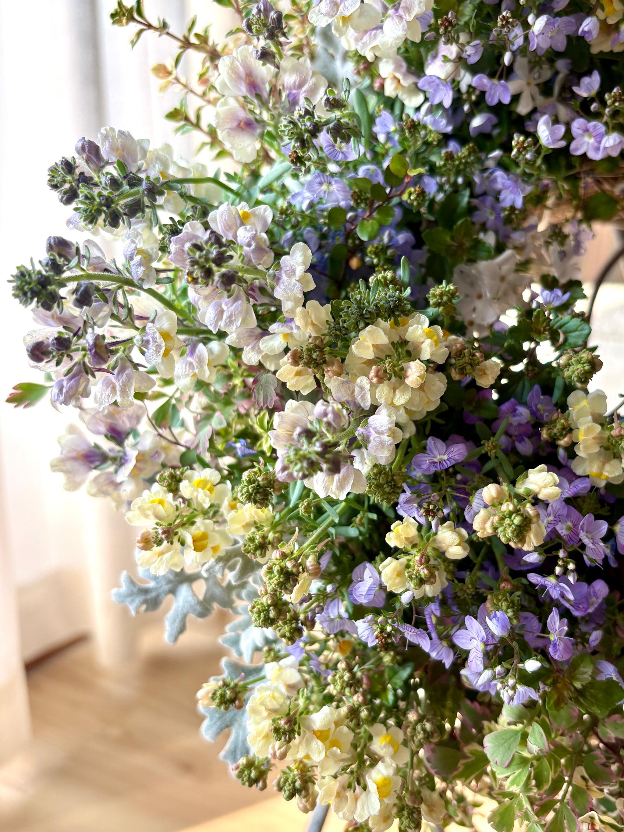 魅惑の花色 リナリアの寄せ植えリース ☆*:.幸せのwreath  「 マダムマルシアの秘密の花園 」 ｡:*☆   　 | 9枚目